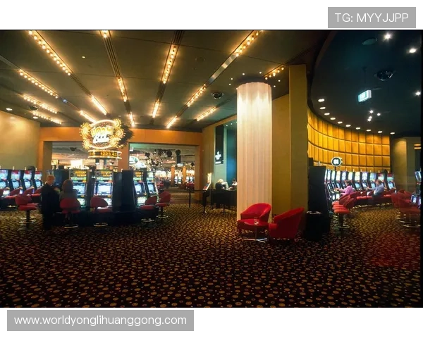 澳门十大赌厅有哪些，专业分析各大赌厅的游戏种类与客户体验